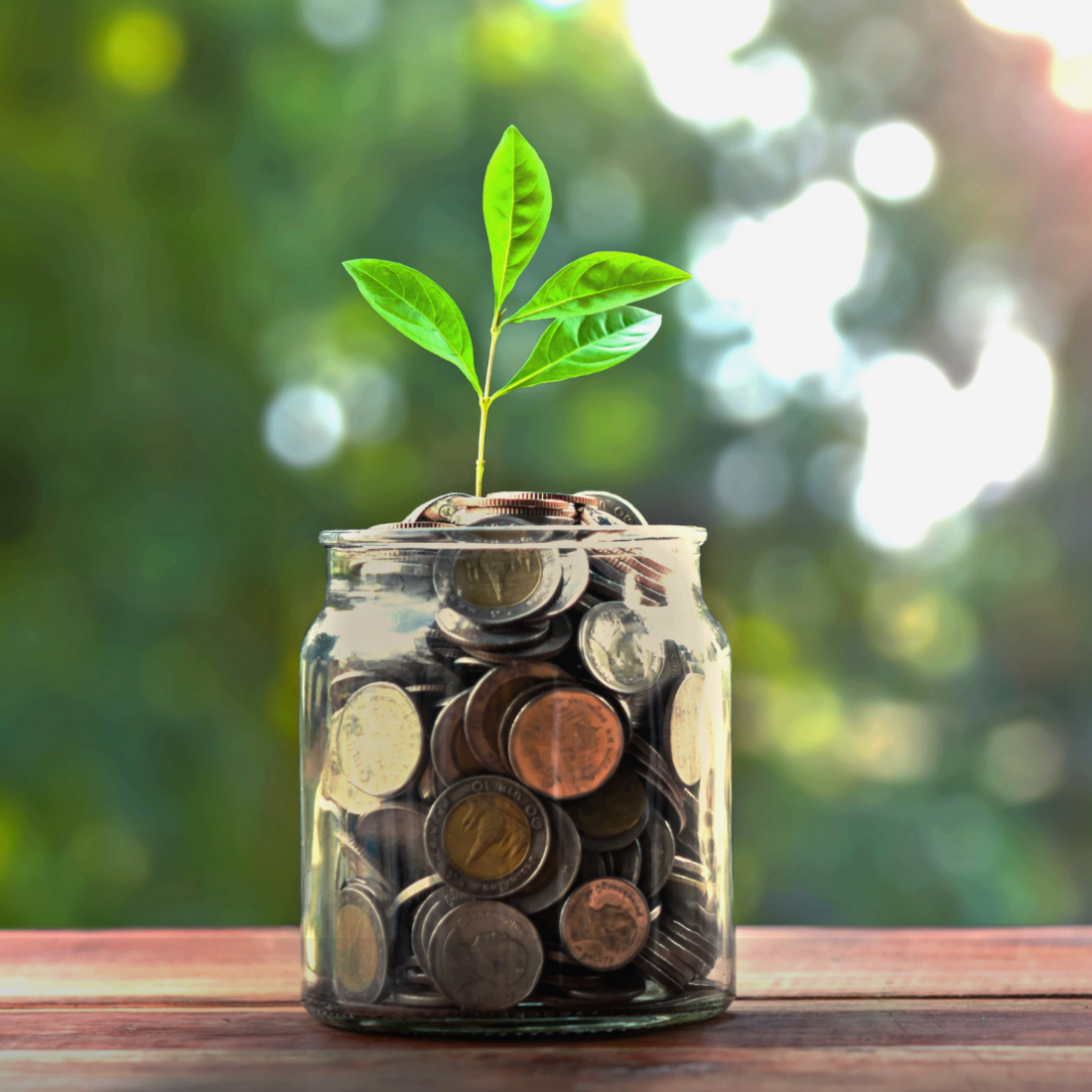 Impression aus dem Bereich Abrechnungs- & Finanzmanagement